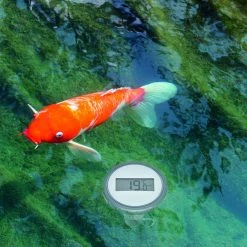 TFA Dostmann Funk Poolthermometer Palma TFA 30.3067.10 Schwimmbadthermometer Teich -TFA Dostmann Speichern Palma Teich 2