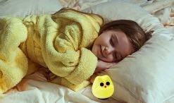 TFA Dostmann LED Nachtlicht SCHUHU TFA 43.2035.02 Leucht-Eule 5 TFA Dostmann LED Nachtlicht SCHUHU TFA 43.2035.02 Leucht-Eule -TFA Dostmann Speichern Schuhu anwendung