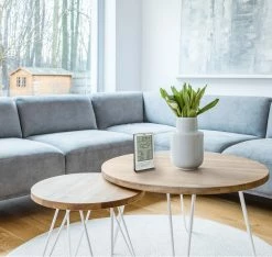 TFA Dostmann Funk-Wetterstation Xena TFA 35.1162.54 Wettertrend Funkuhr 13 TFA Dostmann Funk-Wetterstation Xena TFA 35.1162.54 Wettertrend Funkuhr -TFA Dostmann Speichern Xena 35 1162 anwendung